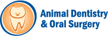 Animal Dentistry & Oral Surgery